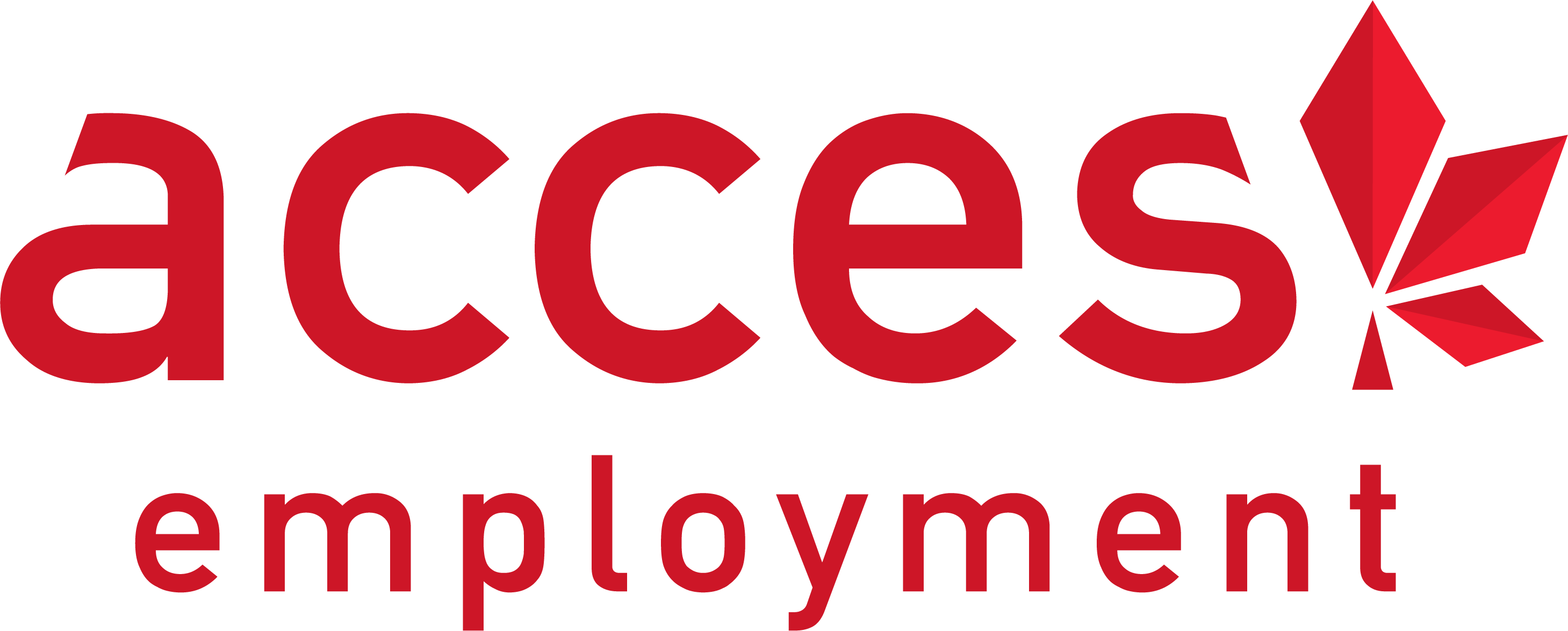 access employment logo